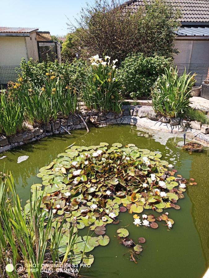 Le Lion Des Flandres Villa Ruminghem Eksteriør bilde